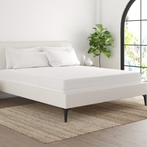 Hatékony ágyi poloska kezelés, avagy hogyan szabaduljunk meg a problémától?