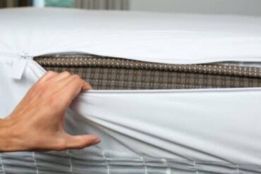 Az ágyi poloska ellenőrzés fontossága az irtás során