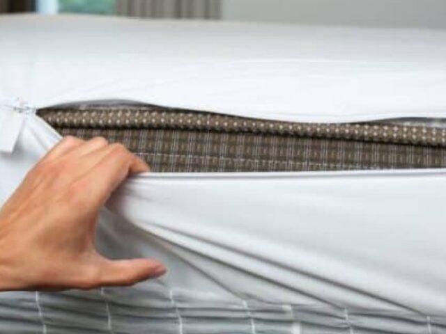 Hogyan segíthet az ágyi poloska fertőtlenítés a hatékony védekezésben?