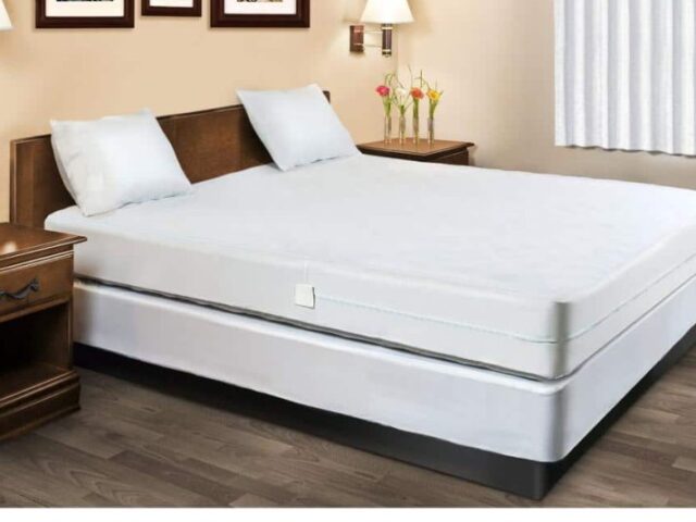 Milyen módszereket alkalmazhatunk ágyi poloska irtás során?